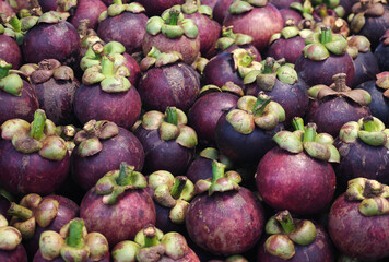 fresh organic mangosteen  on market