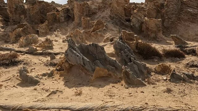 Petrified Forest and Limestone Formations at Cape Bridgewater - Geological Wonders of Discovery Bay Coastal Park, Victoria Australia