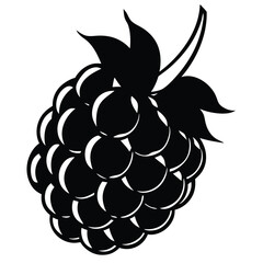Black and white blackberry fruit vector illustration for design and decoration