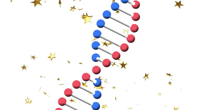 Naklejki Image of DNA strand with red and blue spheres surrounded by golden stars
