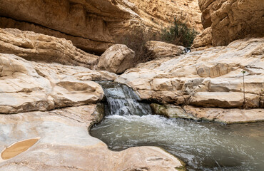Small  waterfall downstream in Arugot mountain Stream Nature Reserve near the Dead Sea in southern Israel