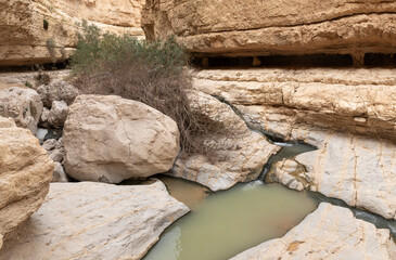 Small  waterfall and a small lake in Arugot Stream Nature Reserve near the Dead Sea in the southern Israel
