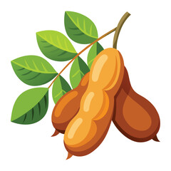 Illustration of tamarind pods on a branch with green leaves isolated on white