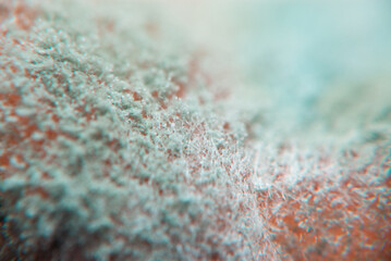 Close-up view of intricate fibers on a textured surface during daylight hours