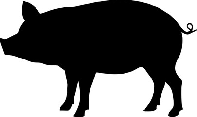 Black silhouette pig isolated on white, a farm animal vector illustration