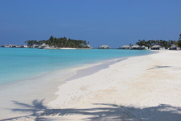 Resort in a tropical beach in Maldives with palm and shoreline