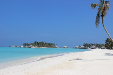 Resort in a tropical beach in Maldives with palm and shoreline