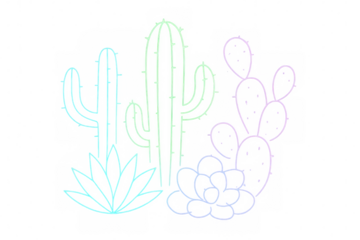 Neon pastel outlines highlighting desert plant silhouettes - cacti and succulents forming graphic landscape with transparent background for modern southwestern design styling