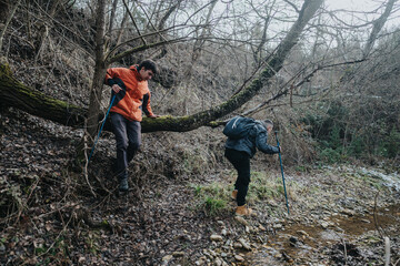 Two men in hiking gear and trekking poles explore a forested area during winter. One steps down a...