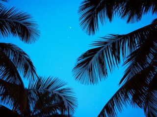 Fototapeta premium Silhouette of palm tree fronds against a bright blue sky creating a tropical paradise viewscape