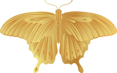 vector butterfly drawings. 3d illustration images.