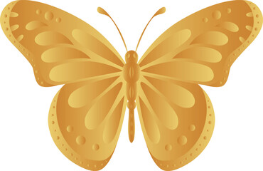 vector butterfly drawings. 3d illustration images.