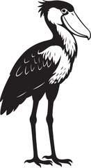 Shoebill bird illustration black and white style, Large bird drawing elegant vector design