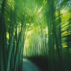 Fototapeta premium Bamboo Forest Trail: A tranquil and invigorating visual, this photograph invites you into a lush bamboo forest, with the dappled sunlight creating an airy, inviting atmosphere.