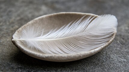 Single white feather rests in a small, shallow beige bowl on a grey stone surface.