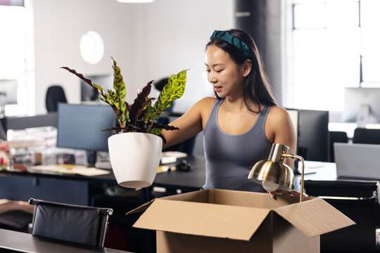 Asian woman unpacking potted plant and brass lamp at office desk with computer monitors