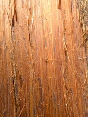 wood texture background