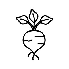 Line drawing of a beet with leaves roots on a background vegetable food