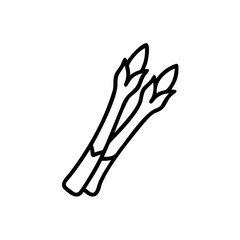 Two line art asparagus spears on a background handdrawn vegetables food