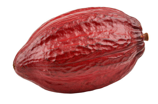 Fresh dark red Trinitario cocoa fruit isolated on a white background, showcasing its smooth surface and natural oval shape. The rich color and realistic texture highlight the fruit&rsquo;s exotic origin and
