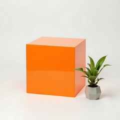 Modern Plant Pot on Vibrant Orange Cube
