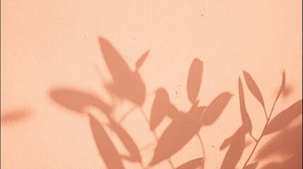 Brown cream clay mud grunge cement texture wall leaf plant shadow background. Summer tropical travel beach with minimal concept. Flat lay palm nature