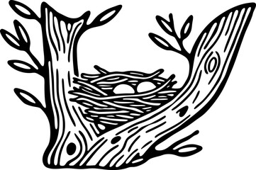 Bird nest with eggs on tree branch hand drawn nature illustration, spring growth, wildlife home concept
