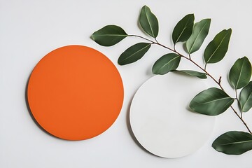 Minimalist composition with vibrant orange circle and green eucalyptus branch on white background