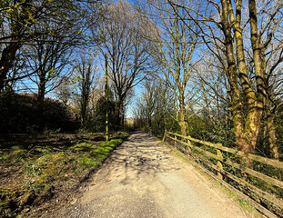 A sunlit path meanders through a forest with tall, leafless trees on either side, casting intricate shadows on the ground. A wooden fence runs parallel to the path near, Clayton, Bradford, UK