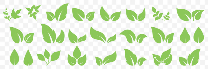 Green leaf icons set. Leaves icon on isolated Transparent background. Collection green leaf. Elements design for natural, eco, vegan, bio labels. Vector illustration EPS 10