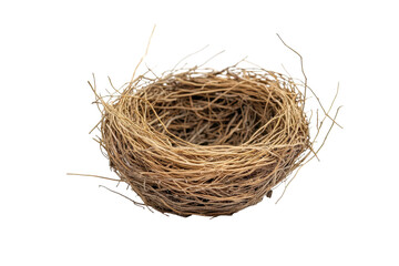 Empty bird nest resting on a clean white background, showcasing intricate twigs and natural materials crafted by birds for nesting purposes