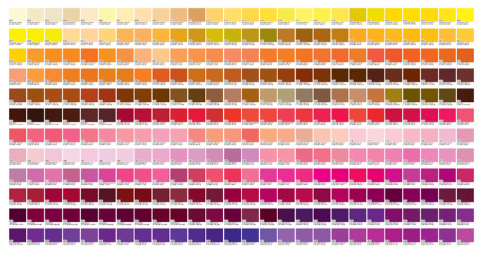 Color Palette Chart CMYK, RGB. Color Swatch book Template Chart for your design. Color Palette CMYK,RGB. Print Test Page. Pantone Color chart, palette. Color Codes. CMYK, Pantone. Vector	