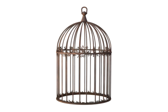 Birdcage isolated on a white background showcasing intricate metal design with a vintage appearance suitable for decorative purposes or artistic displays