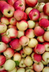 apples in the market