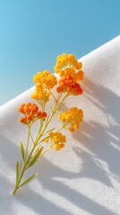 Yellow and Orange Flowers on White Textile