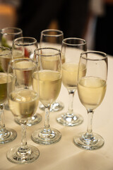 Close-up of Champagne Flutes Filled with Sparkling Wine at a Celebration Event