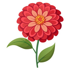 red dahlia flower