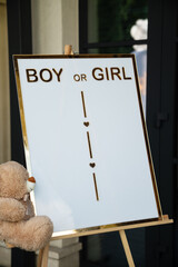 Gender Reveal Sign with Teddy Bear for Boy or Girl Announcement at a Celebration