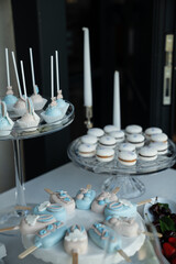 Elegant dessert display with blue and white sweets including cupcakes, macarons, and decorative cake pops for a special occasion.