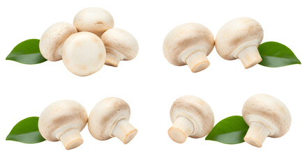 Fototapeta premium Fresh white mushrooms arranged with green leaves on a clean background, ideal for culinary use and food photography