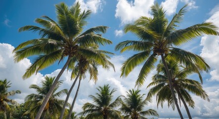 Tropical palm trees under a partly cloudy sky.