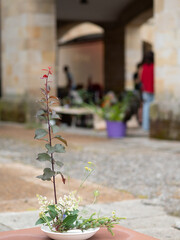Delicate ikebana flower arrangement created during workshop in a courtyard