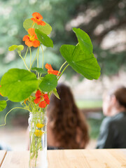 Nasturtium bouquet creating joyful atmosphere during ikebana workshop