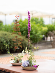 Ikebana flower arrangements displaying purple loosestrife, hydrangea and other plants