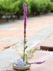 Purple loosestrife and hydrangea ikebana flower arrangement in a ceramic bowl