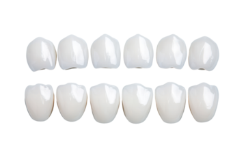 Isolated set of white teeth with dental implants arranged neatly on a light blue background emphasizing their shape and shine