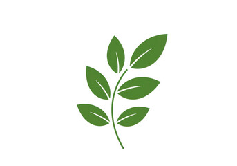 Isolated Green Leaves on a Stem