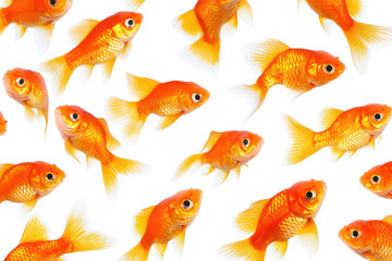 Colorful goldfish swim gracefully against a clean white background, creating an engaging pattern of aquatic life for decoration or educational use
