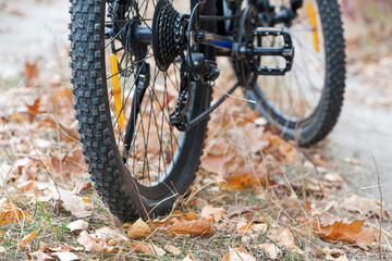 rear wheel of a mountain bike. Mountain bike. stands on a forest road. concept of cycling, repair or breakage, sports, outdoor activities. bike on trail, rear wheel in focus. autumn Park