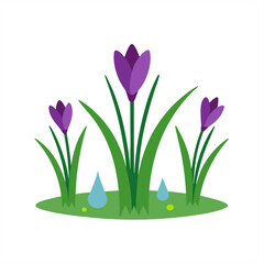 Cartoon Crocus Blossoms and Wet Grass Border Vector on White Background